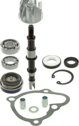 Kit de reparación de bomba de agua RMS Kymco