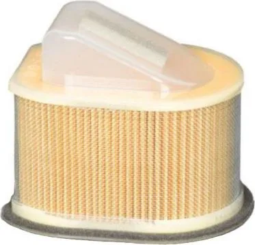 El filtro de aire Champion CAF1802