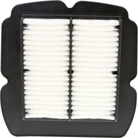El filtro de aire Champion CAF2612