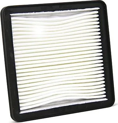 El filtro de aire Champion CAF3302