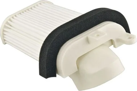 El filtro de aire Champion CAF3505