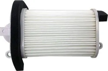 El filtro de aire Champion CAF3509
