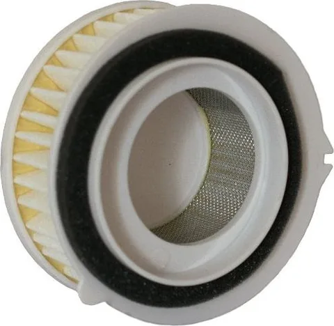 El filtro de aire Champion CAF3607