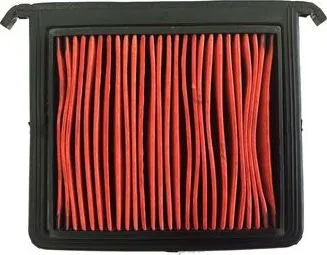 El filtro de aire Champion CAF4005