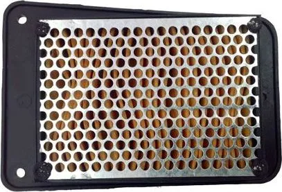 El filtro de aire Champion CAF4101WS