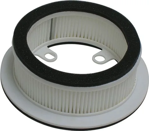 Filtro aire Meiwa Carter Yamaha T-Max 530