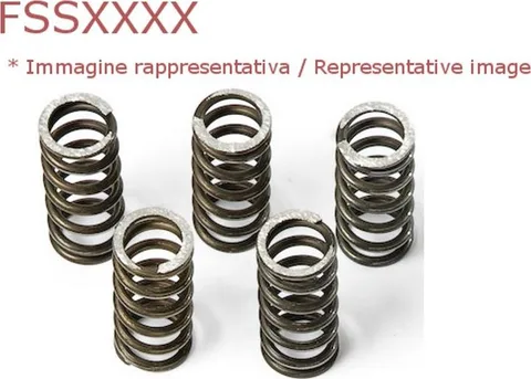Muelles embrague Ferodo Moto