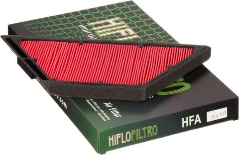 Filtro aire Hiflo HFA2916 (20)