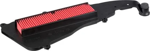 Filtro aire Hiflo HFA5220 (100)