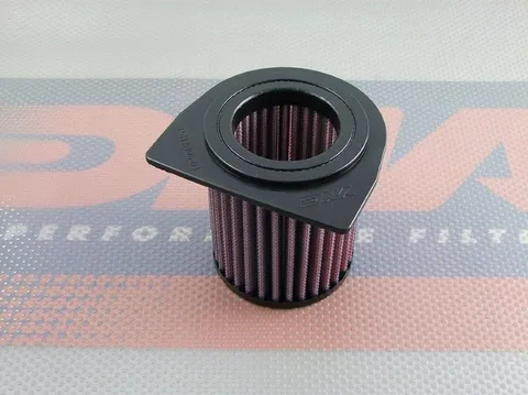 Filtro de aire DNA para CBF 250 06