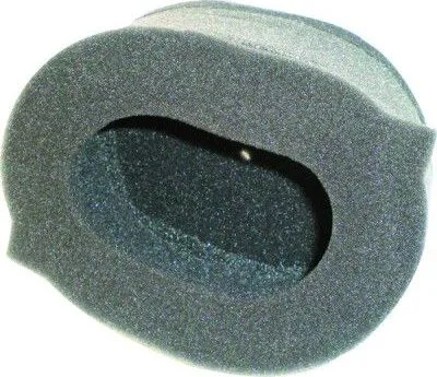 El filtro de aire Champion Y304 302